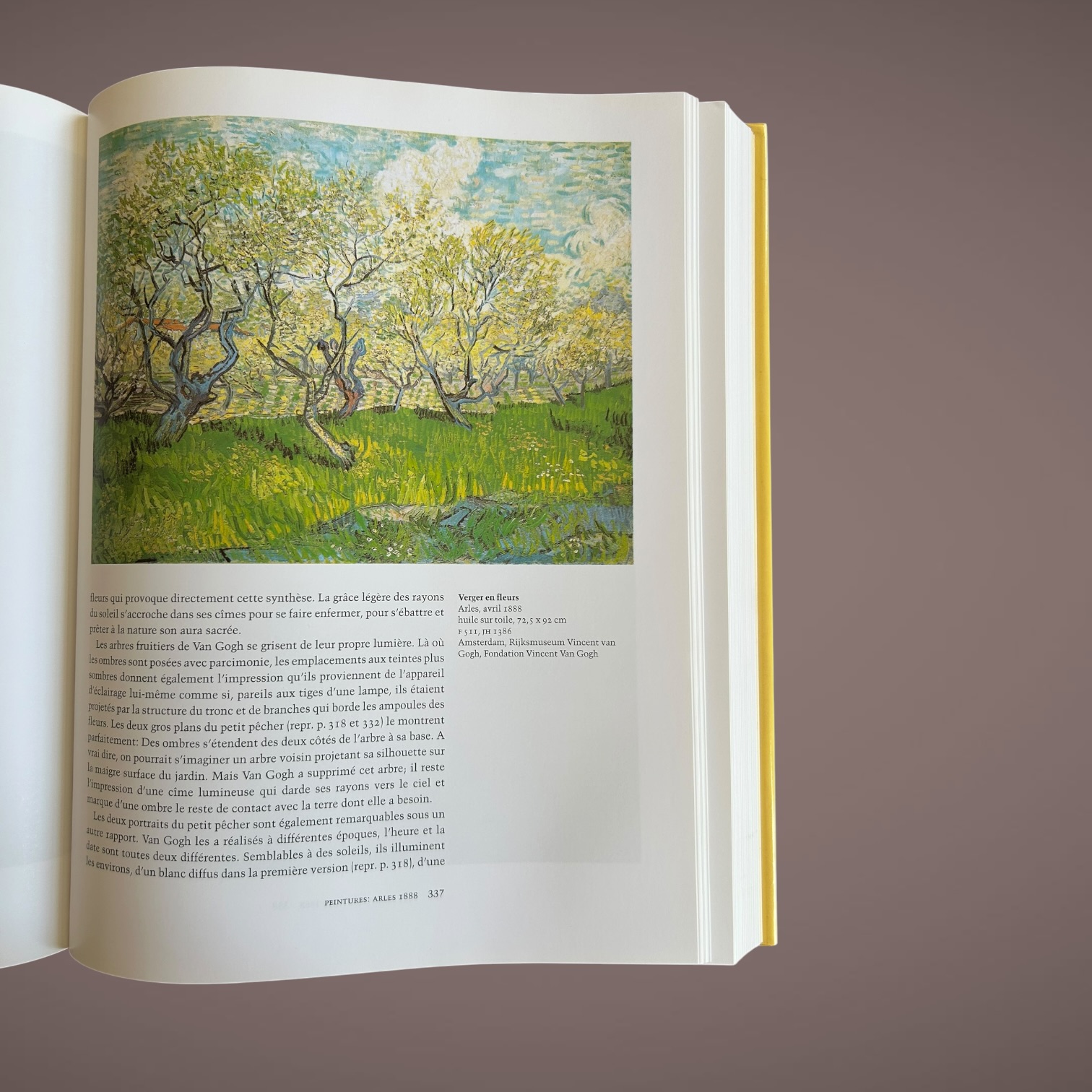 Van Gogh L’Œuvre complet – Peinture – Ingo F. Walther - Rainer Metzger - Image 5