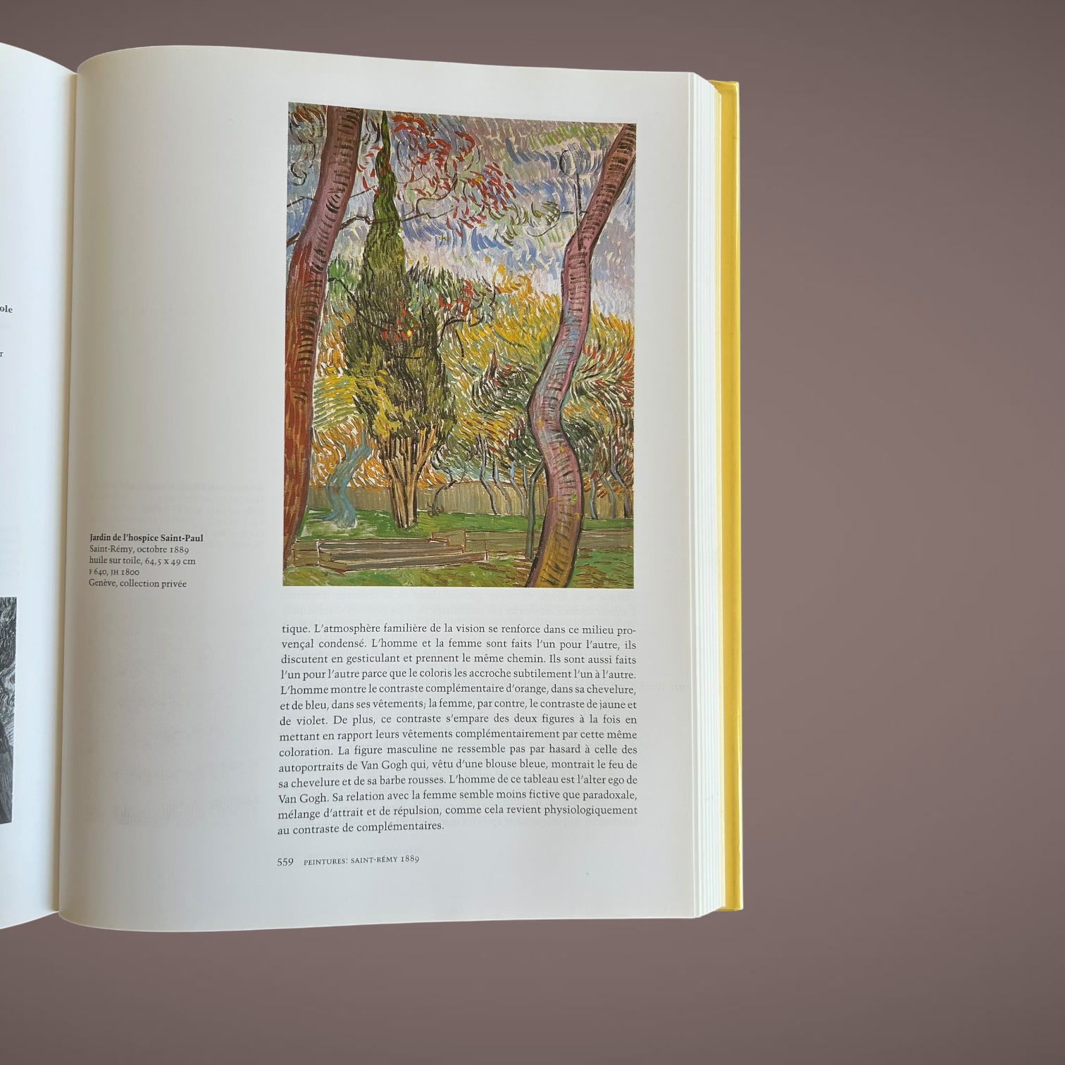 Van Gogh L’Œuvre complet – Peinture – Ingo F. Walther - Rainer Metzger - Image 6